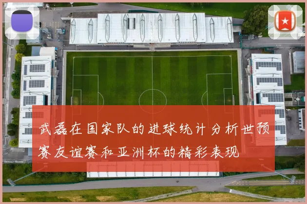 武磊在国家队的进球统计分析世预赛友谊赛和亚洲杯的精彩表现