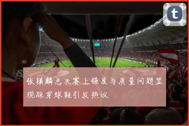 张镇麟总决赛上强度与质量问题显现踩穿球鞋引发热议