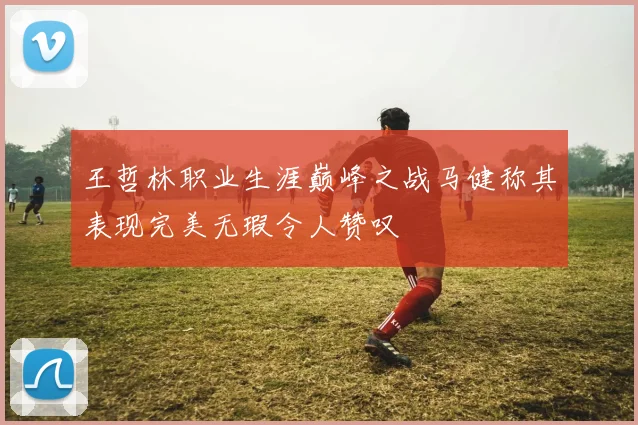 王哲林职业生涯巅峰之战马健称其表现完美无瑕令人赞叹