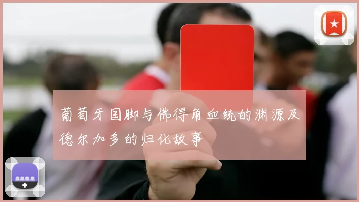 葡萄牙国脚与佛得角血统的渊源及德尔加多的归化故事
